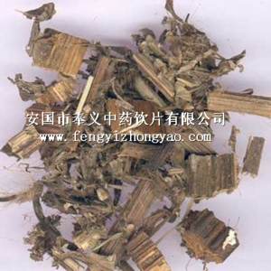 大薊